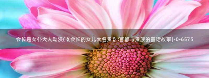 h动漫在线看:会长是女仆大人动漫(《会长的女儿大名贵》:首都与贵族的童话故事)